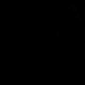 Meet your Posher, Calvin